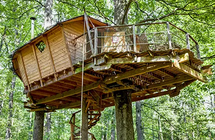 LES CABANES DANS LES ARBRES